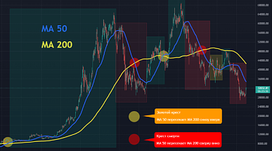 Трейдинг: что это такое и как начать торговать